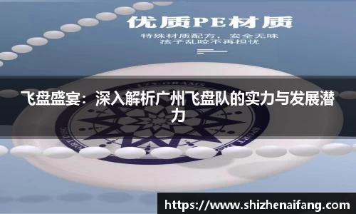 飞盘盛宴：深入解析广州飞盘队的实力与发展潜力