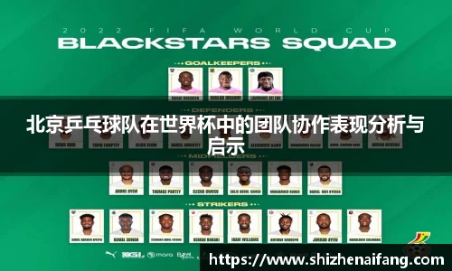 北京乒乓球队在世界杯中的团队协作表现分析与启示